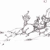 003ratas de pantano
